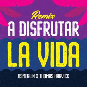 A Disfrutar La Vida (feat. Thomas Harvick) (Remix)