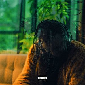 Not Too Much (Explicit)