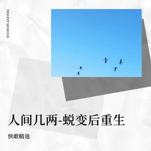 人间几两-蜕变后重生