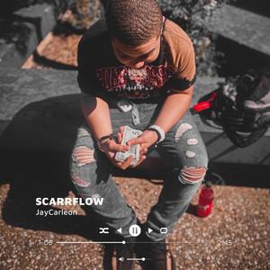 SCARRFLOW (Explicit)