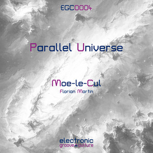 Parallel Universe (Florian Martin Remix)