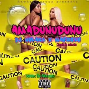 Amadunudunu (feat. Dj nhlaks & Mafresh)