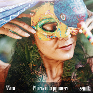 Pajaros En La Primavera