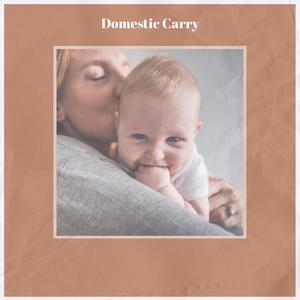 Domestic Carry