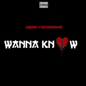 Wanna Know (Explicit)