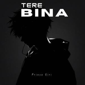 Tere Bina