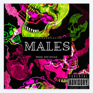 Males (Explicit)