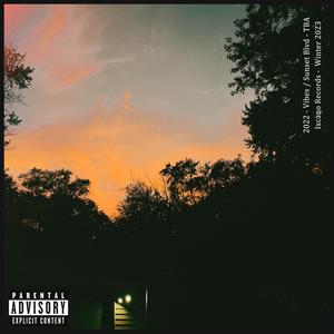 Sunset Blvd (feat. Big Sly & D Moons) (Explicit)