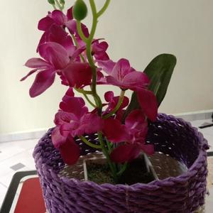 Dj Bintang Disurga (Remix)