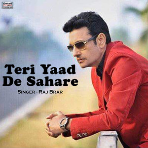 Teri Yaad De Sahare - Single