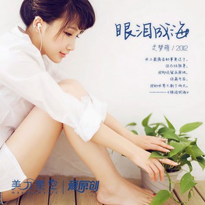 眼泪成海封面