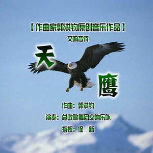 天鹰