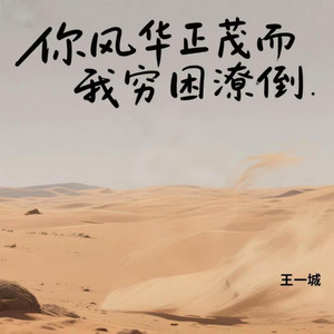 你风华正茂而我穷困潦倒-王一城