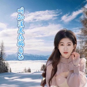 明知道是在骗自己封面