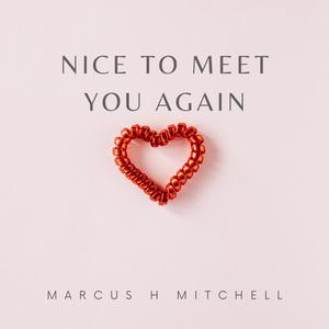 NICE TO MEET YOU AGAIN