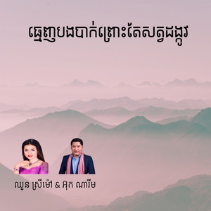 ធ្មេញបងបាក់ព្រោះតែសត្វដង្កូវ