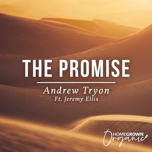 The Promise