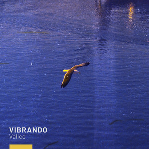 Vibrando