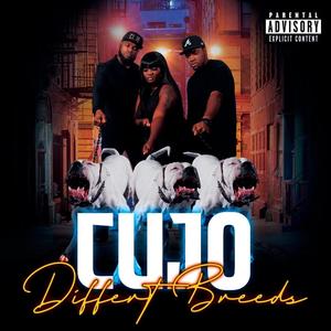 CuJo (Explicit)