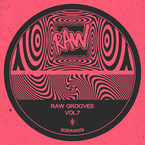 Raw Grooves, Vol.7