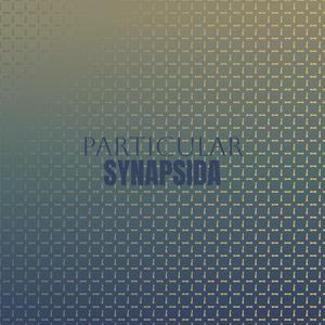 Pregnenolone Soundly