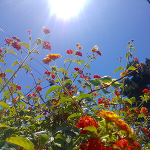 Error en Nuestra Realidad