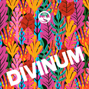 Divinum