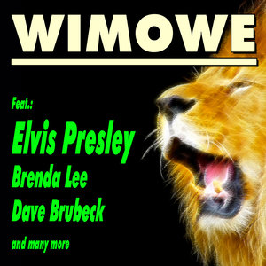 Can't Help Falling in Love