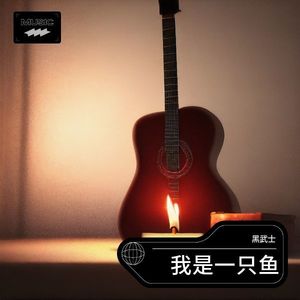 我是一只鱼