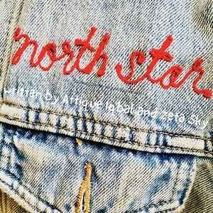 North Star (feat. Hayes Kramer)