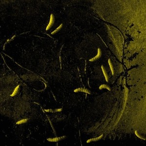 Minchia Di Legno (Qetsy Remix)