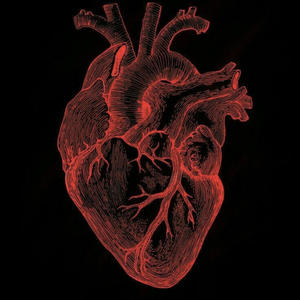 Is Love Hard Enough (feat. TDG Loo & TDG Lucid) (Explicit)