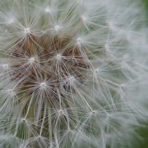 ephemeral (ambient mix)