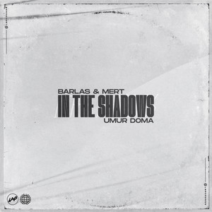 In The Shadows