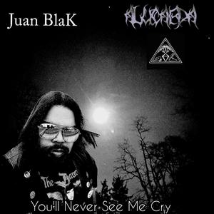 You'll Never See Me Cry (feat. AlucardA & Until We Are Dust )