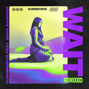 Wait (Vlind vs Obie Fernandez Remix)