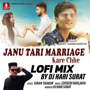 Janu Tari Marriage Kare Chhe (Lofi Mix)