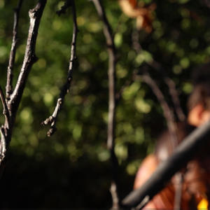 Warmth (Explicit)