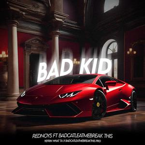 Bad kid (Explicit)