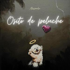 Osito De Peluche