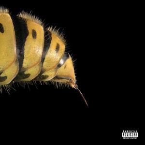 No More Flowers (Explicit)