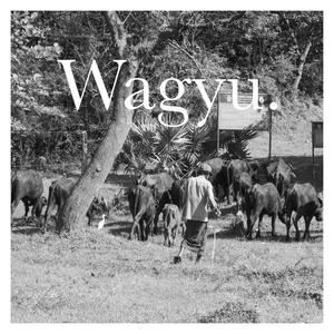 Wagyu (feat. Hammy & Marz the Reject) (Explicit)