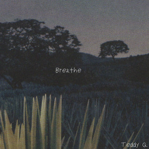 Breathe . . .