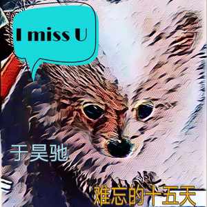 难忘的十五天