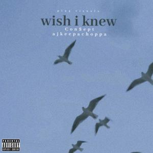 wish i knew (feat. Ajkeepachoppa) [Explicit]