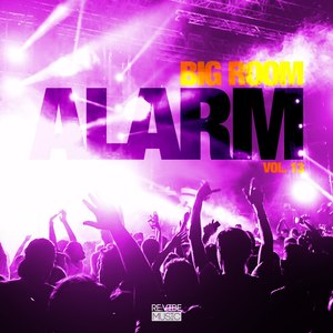 Big Room Alarm, Vol. 13