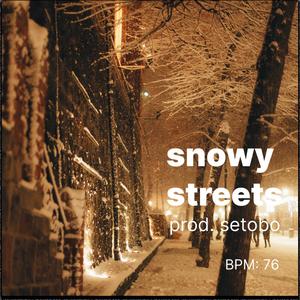 Snowy Streets