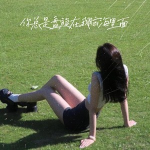 你总是盘旋在我脑海里面 (DJ顶级卡点版)