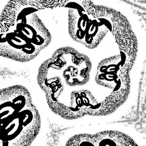 At a Particular Angle in a Certain Light