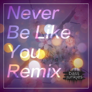 Never Be Like You (Remix)